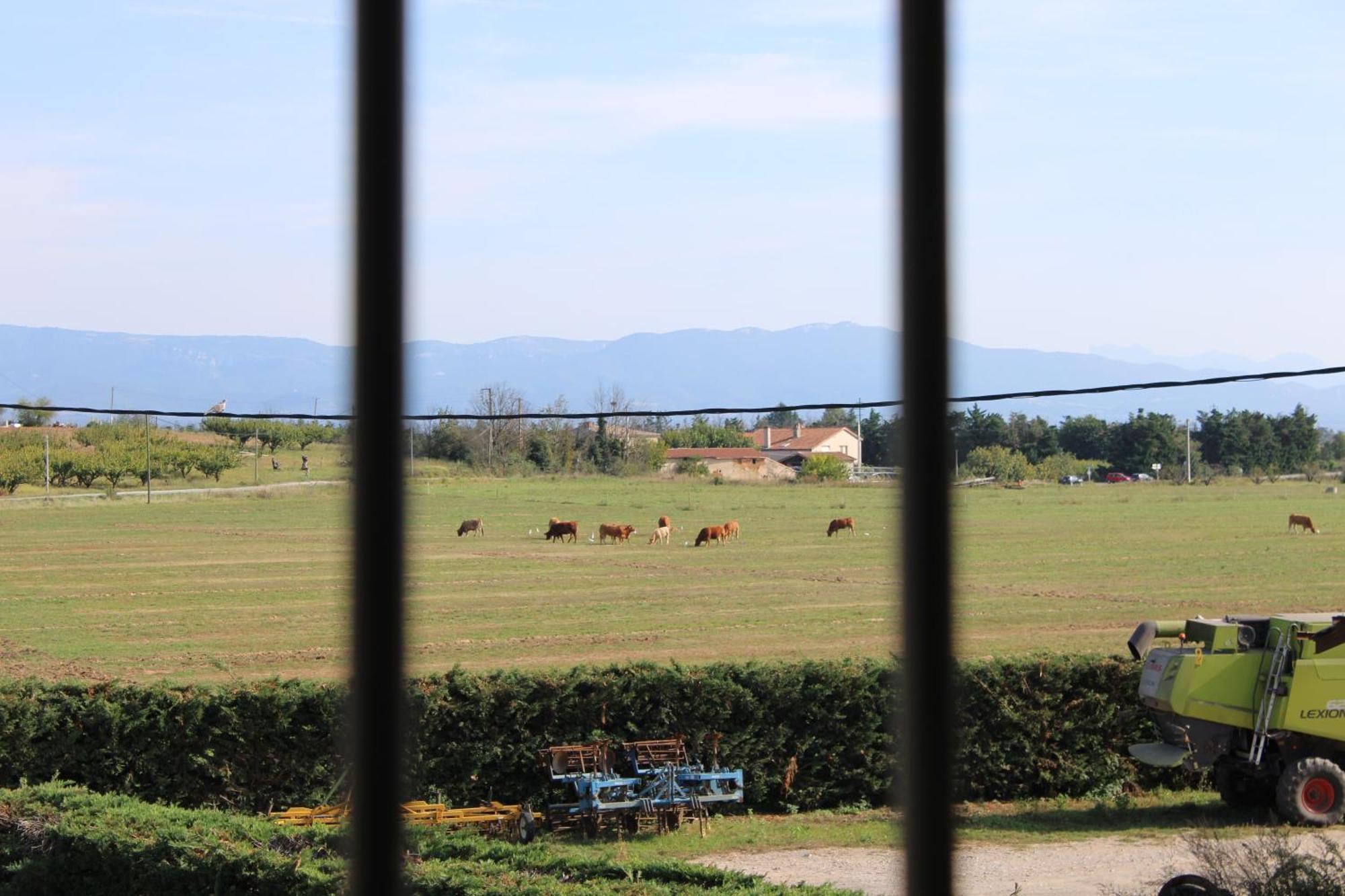 Les Gites De Genas Bourg-les-Valence Ngoại thất bức ảnh